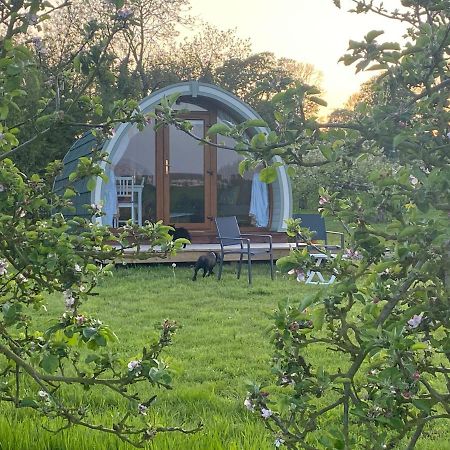 מלון דנגאנון Orchard Luxe Glamping Pod מראה חיצוני תמונה