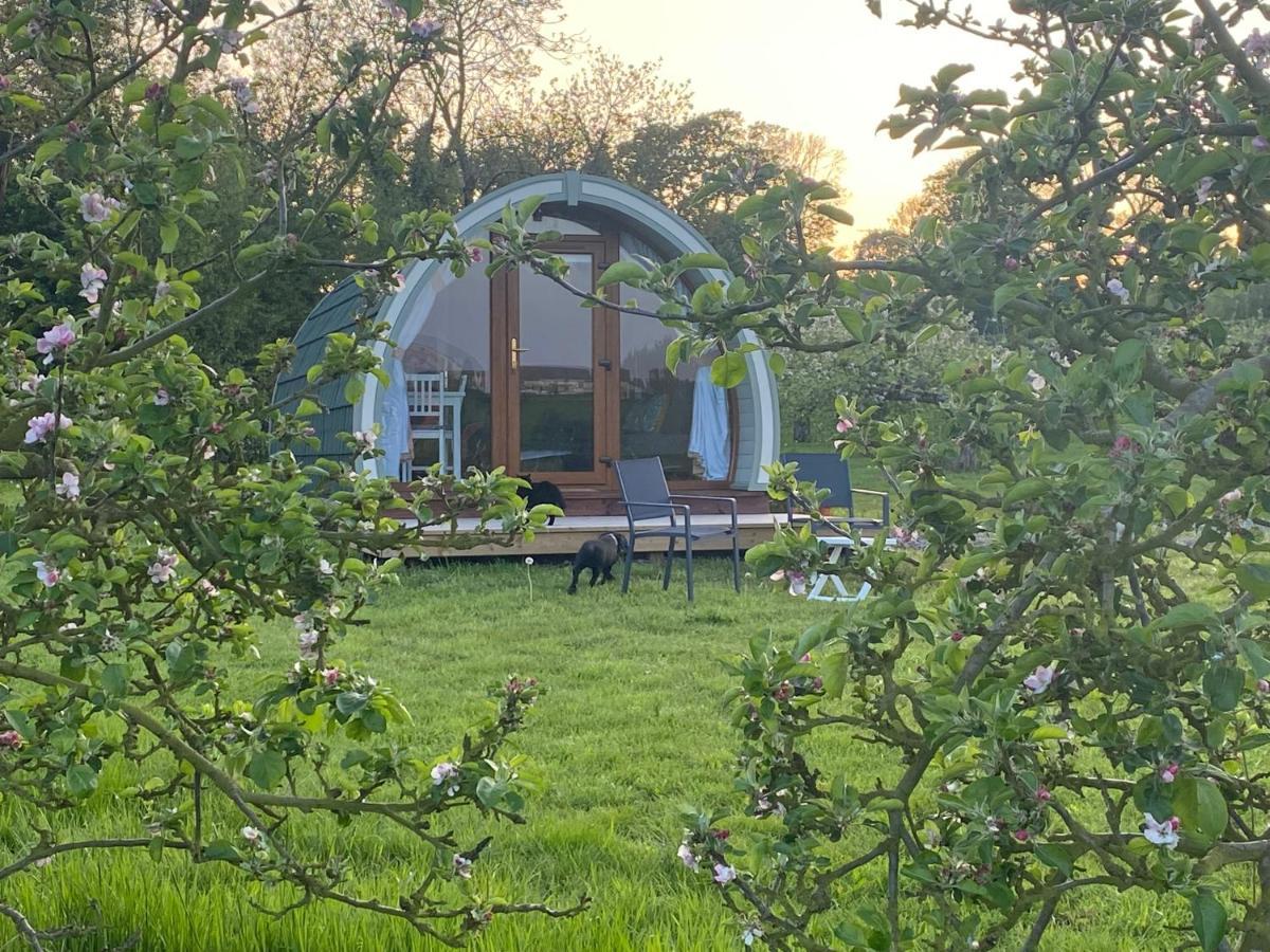 מלון דנגאנון Orchard Luxe Glamping Pod מראה חיצוני תמונה